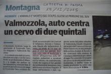 Articolo Gazzetta di Parma del 19 dicembre 2015