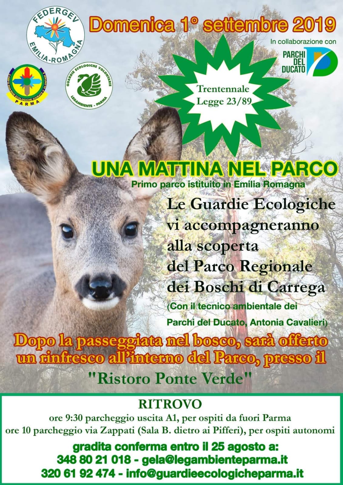 Manifesto Evento