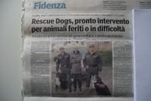 Pronto soccorso animali