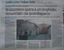 Parco di Carrega - Bracconiere spara ad un cinghiale